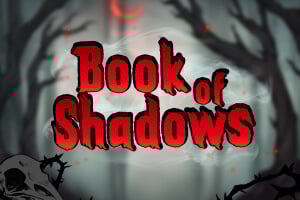 Slots logo of Book Of Shadows from Evolution at Newgioco